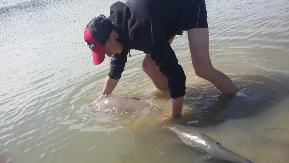 Cetariu - 107340058725804428160533169414118388125030n.jpg